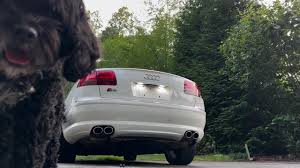 Image result for Ibis White 2007 S8