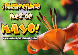 Bildresultat fÃ¶r mes de mayo en anaranjado