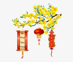 Hoa hay bông là bộ phận chứa cơ quan sinh sản, đặc trưng của thực vật có hoa, cụ thể là một chồi rút ngắn mang những lá biến đổi làm chức năng sinh sản của cây. Hoa Mai Banner Mai Vang Png Image Transparent Png Free Download On Seekpng
