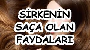 Sirkenin Saca Olan Faydalari Youtube