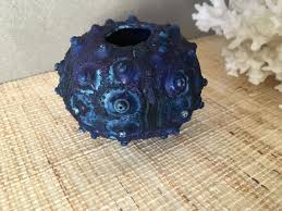 Image result for sputnik sea urchin