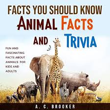 Weird, unusual and extraordinary facts about animals that will here's our big list of 100 greatest animal facts. Amazon Com Facts You Should Know Animal Facts And Trivia Fun And Fascinating Facts About Animals For Kids And Adults Audible Audio Edition A C Brooker Michael Stuhre A C Brooker Audible Audiobooks