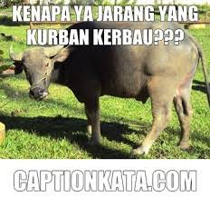 Paling Bagus 27 Gambar Binatang Kurban Lucu Kata Lucu Qurban Cikimm Com Kumpulan Gambar Hewan Kurban Lucu Gokil Untuk Hiburan Do Binatang Hewan Gambar Lucu