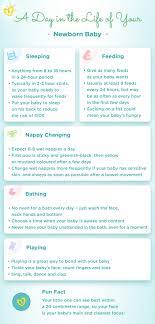 Your Newborn Baby The 4 First Weeks Pampers