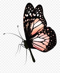 Download it for free from the website as a gif file on transparent background. Butterfly Gif Png Butterfly Png Gif Blue Butterfly Transparent Background Free Transparent Png Images Pngaaa Com