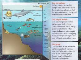 Namun peneliti lain mengembangkan penjelasan alternatif yang juga berbasis data serupa. Bumi