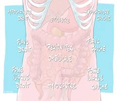 Syndrome De L Intestin Irritable Snfge Org Societe Savante Medicale Francaise D Hepato Gastroenterologie Et D Oncologie Digestive