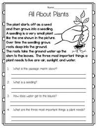 Spring Surprises Reading Math Writing And More Common Core Reading Comprehension First Grade Reading Comprehension Reading Comprehension Worksheets