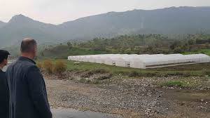 Rûbarok tarım merkezi oluyor: 5 yılda 120 sera inşa edildi