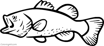 Download Bass Coloring Pages Coloringall