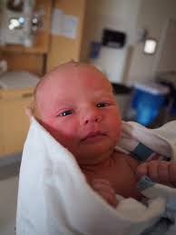 Message from the President Message from the E.D.