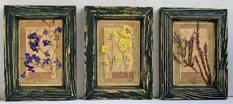 Maybe you would like to learn more about one of these? Pressedflowers Pressedflowers1 Twitter