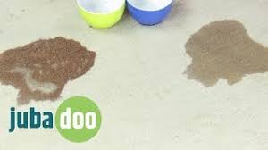 Vermischt etwas backpulver mit wasser und gebt es auf den fleck. Kaffeefleck Teefleck Effektiv Entfernen Youtube