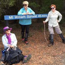 Pilgrim Stories Archives