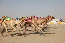 Amazing facts about animals for kids _ 5 mind blowing facts you didn't know about animals. Fun Lesser Known Facts About Dubai Expatwoman Com