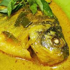 Gulai ikan bisa menggunakan berbagai jenis ikan, antara lain adalah tuna, kakap, tongkol atau jenis ikan lain yang banyak versi juga tentang resep gulai ikan, ada yang berwarna kuning, erah atau orange, ada yang dicampur 200 ml santan kental. Gule Kepala Ikan Mas Agus Di Jl Honggowongso Solo Intanpari Com