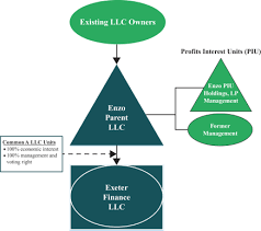 I hereby give my consent to as lhv finance for requesting my tax data from the estonian tax and customs board, and to the estonian tax and customs board for disclosing information subject to. Form S 1
