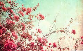 10 Latest Vintage Spring Desktop Background Full Hd 1080p For Pc Desktop Wallpaper Pc Vintage Wallpaper Vintage Spring