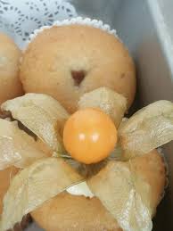 Manfaat buah rambusa sentiet atau buah letup untuk kesehatan dan kecantikan. Lestari Agro Khasiat Buah Letup Letup Kelambu Cecah Facebook