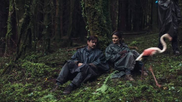 The Lobster: A Nuanced Breakdown | by Mitali Mandal | Medium