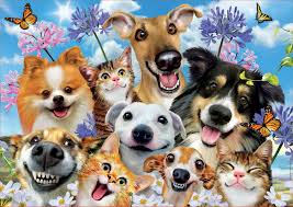 Animals free online jigsaw puzzles on thejigsawpuzzles.com. Buying Cheap Educa Puzzles Wide Choice Puzzles123