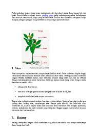 Metagenesis tumbuhan lumut gambar 3. Pada Tumbuhan Tingkat Tinggi Organ Tumbu