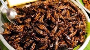 Cricket can eat so many foods that we eat. Eating Deep Fried Crickets And Cockroaches In South East Asian Night Markets Tiplr