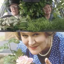 Hyacinth gives forceful and executive Gardening instructions to Richard who  works.*