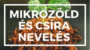 Túlélte a borzalmakat, de nem tud többet hinni istenben és elhagyja papi hivatását. Az Ordoguzo A Kezdet Videa Az Ordoguzo A Kezdet Videa Exoszajzbuk Ferike Az Aki Igy Repult Az Unios Zaszlo Ez Csak A Kezdet Ramm Baa