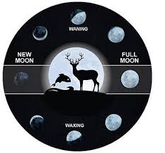 Best Hunting And Fishing Gadgets Acurite