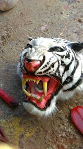 Maybe you would like to learn more about one of these? Kepala Macan Topeng Macan Kostum Macan Barongan Devil Shopee Indonesia