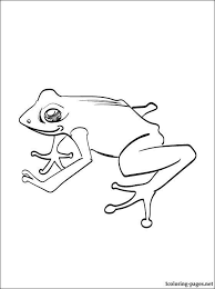 Poison Dart Frog Coloring Jungle Frog Coloring Sheet Free Printable Frog Coloring Fathers Day Coloring Page Frog Coloring Pages Baby Coloring Pages