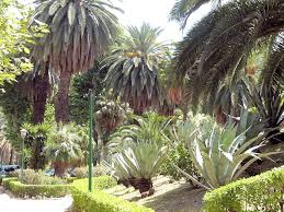 Wir haben den botanischen garten in palermo an einem nachmittag besucht. Palermo