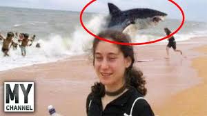 5 Inanilmaz Kopekbaligi Saldirisi 5 Unbelievable Shark Attacks That Actually Happened Youtube