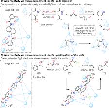 For information on unlocking the apex_public_user, see configure. New Horizons For Catalysis Disclosed By Supramolecular Chemistry Chemical Society Reviews Rsc Publishing Doi 10 1039 D1cs00175b