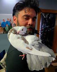 Oklahoma Pigeon Breeders