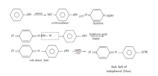 Distinguish Chemically Betwen Phenol And Methanol Chemistry Alcohols Phenols And Ethers 7937195 Meritnation Com
