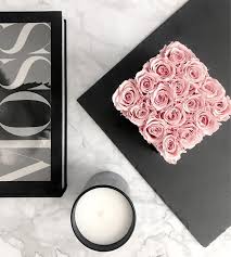 We did not find results for: Live Flowers That Last All Year And Don T Require Watering Forever Rose Brands