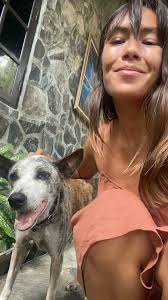 House sitter and pet care available in Travis Heights