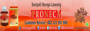 Bunga kenanga cananga odorata bunga lawang illicium verum hooker fil. 082 121 591 900 Telkomsel Nama Latin Bunga Lawang Manfaat Bunga Pekak Produk Obat Herbal Toko Herbal Online Toko Herbal Murah Grosir Herbal Murah Distributor Herbal Murah