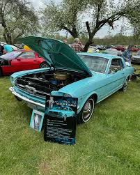 Image result for Twilight Turquoise 1964 Mustang