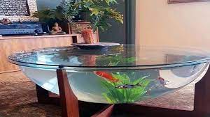 So a coffee table, or (ugh mho) sink fish tank (hot/cold water, constant movement, sounds, back of toilet designs and more, just consider the owner/viewer interest and not the impact or quality of care for the inhabitants. Top5 Aquarium Coffee Table For Your Home Dailymotion Video