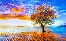 Tree Wallpapers Wallpapers All Superior Tree Wallpapers Backgrounds Wallpapersplanet Net Fall, trees, and maple leaves images. wallpapersplanet net