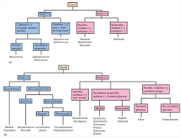 starting with figure 17 5 and using data from case stud