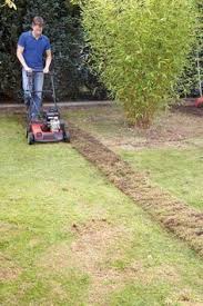 Rasenpflege Alles Zum Thema Mahen Dungen Saen Und Vertikutieren Vertikutieren Gartenarbeit Rasenpflege