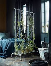 Raumteiler Fur Kleine Raume Schaffen Wohlfuhlzonen Bedroom Plants Decor Green Rooms Room With Plants