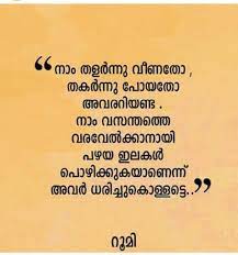 Pin On Mallu Rea