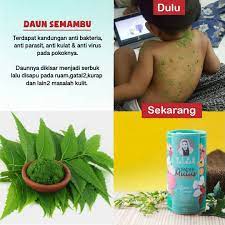 Enakan mana dari pada ngebayangin doang? goda anisa. Mana Nak Cari Daun Semambu Daunsemambu Instagram Posts Gramho Com Kemudian Kedua Ibu Dan Anak Itu Memasuki Kamar Mandi Mayriltsan