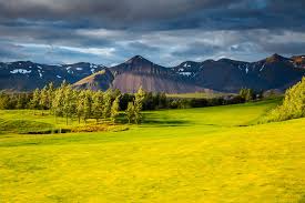 The scandinavian mixed hosted by henrik and annika is a european tour owned event and promoted in conjunction with our commercial partners we do sports in sweden. Scandinavian Mixed Tournament To Be Hosted By Sorenstam And Stenson Essential Golf