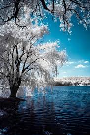 Beau Paysage Photos Paysage Photo Paysage Magnifique Paysage